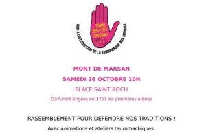 Mont de marsan-manif-26octobre
