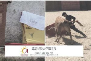 Andalucia-solera-montero
