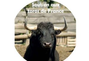 toros-france