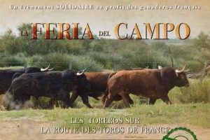 Campo-feria2020