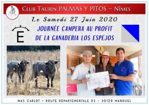Palmas-Pitos-Los Espejos