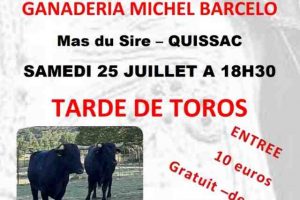 Fiesta campera-nimes-centre
