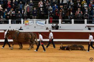 Dax-novillada-galerie-pedraza2020