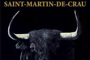 Saint Martin-Feria-octobre2020