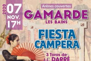 Gamarde-affiche-novembre2020