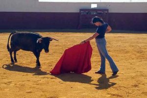 Palmas-Pitos-campo