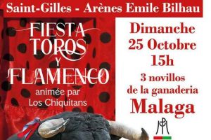 Saint-Gilles-toros-flamenco