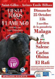 Saint-Gilles-toros2020