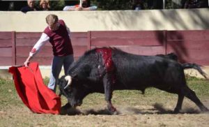 Clemente-campo-Giraud