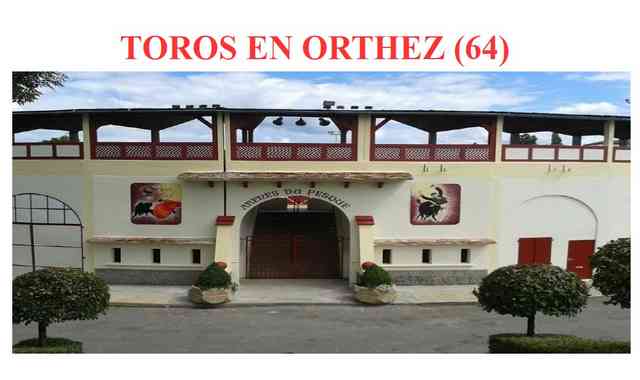 Orthez-plaza