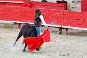 CFT-camargue-entrainement