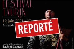 Bayonne-report festival