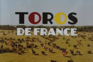DVD Toros de France