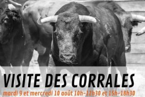 Dax-corrales2022