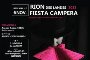 Rion-fiestacampere2022-cartel