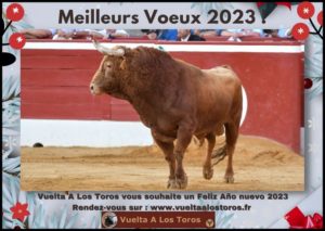 Voeux2023