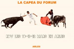 Arles-capea-forum
