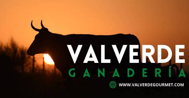 Valverde-ganaderia