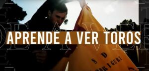 video-aprender-ver-toros