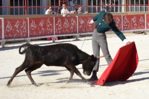 Saint Gilles-Esteban Navarro-querencia