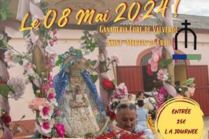 Valverde-romeria_2024