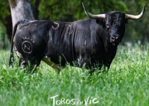 Vic-Dolores-campo2025