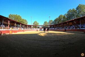 Rion des Landes-paseo