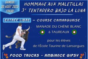 Vauvert-bajo la luna2025-cartel