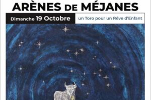 Méjanes-cartel-festival2025