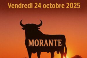 Bayonne-pena-conf-cote basque