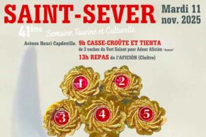 Saint Sever-affiche-11nov