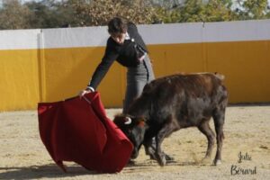 Alberto Lamelas-tienta-2025