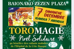 Bayonne-toromagie2025