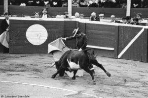 Rafael de Paula-Laurent.B