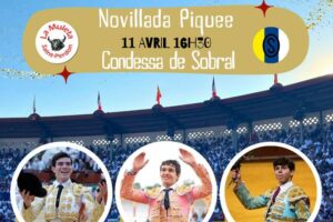 Saint Perdon-novillada-2026