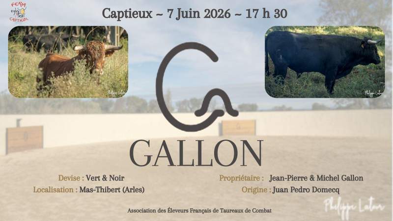 Captieux-novillada2026