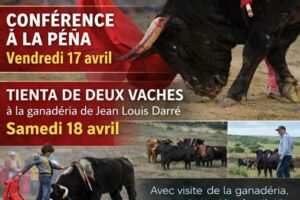 Bayonne-pena cote basque-parejo