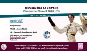 Toros de Landia-Solal-Espera