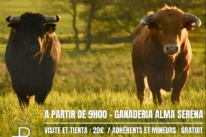 Alma Serena-campo_mai2026