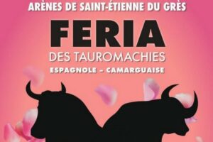 Saint Etienne du Grès-2026