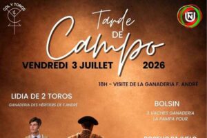 Nimes-cartel-utn2026
