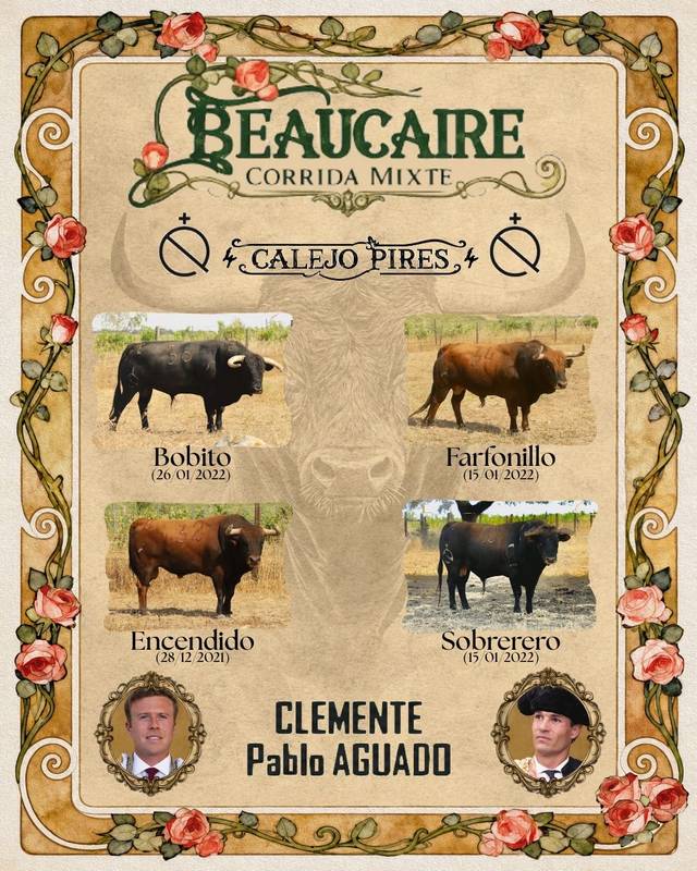 Beaucaire-toros-Calejo Pires