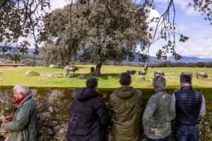Mont de Marsan-campo2026