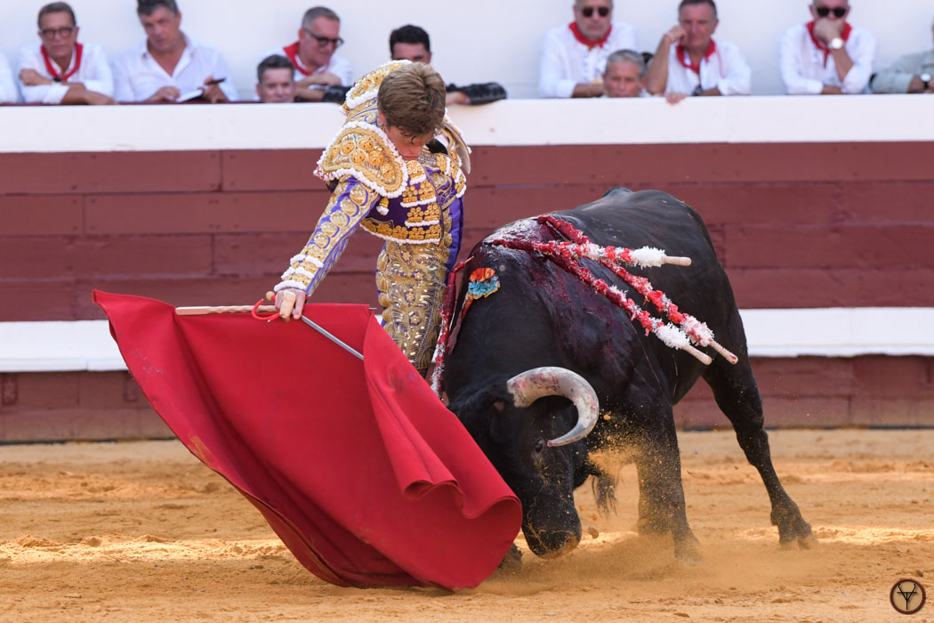 12082026-Dax-Freixo-Luque-Jimenez-Perez-DSC_7940