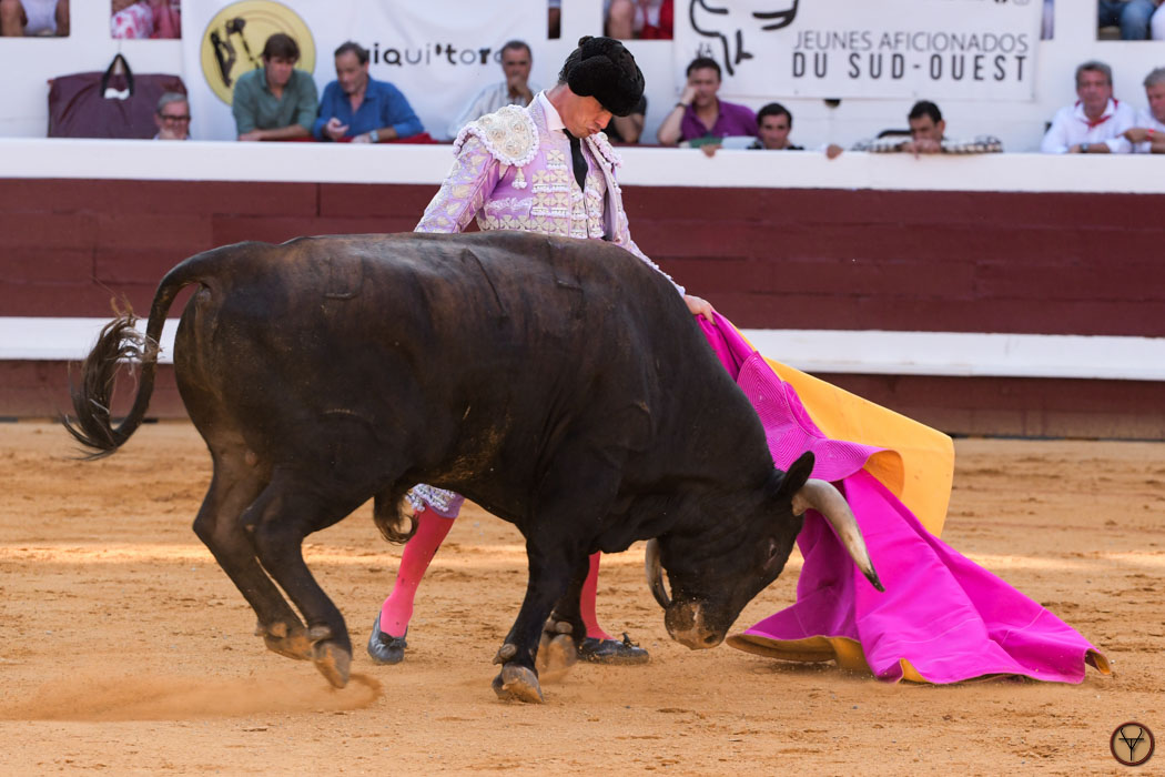 12082026-Dax-Freixo-Luque-Jimenez-Perez-DSC_7964