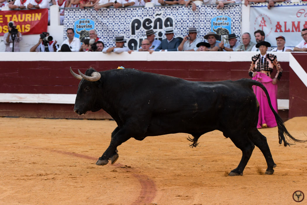 12082026-Dax-Freixo-Luque-Jimenez-Perez-DSC_8099