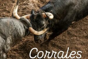 Dax-corrales2026