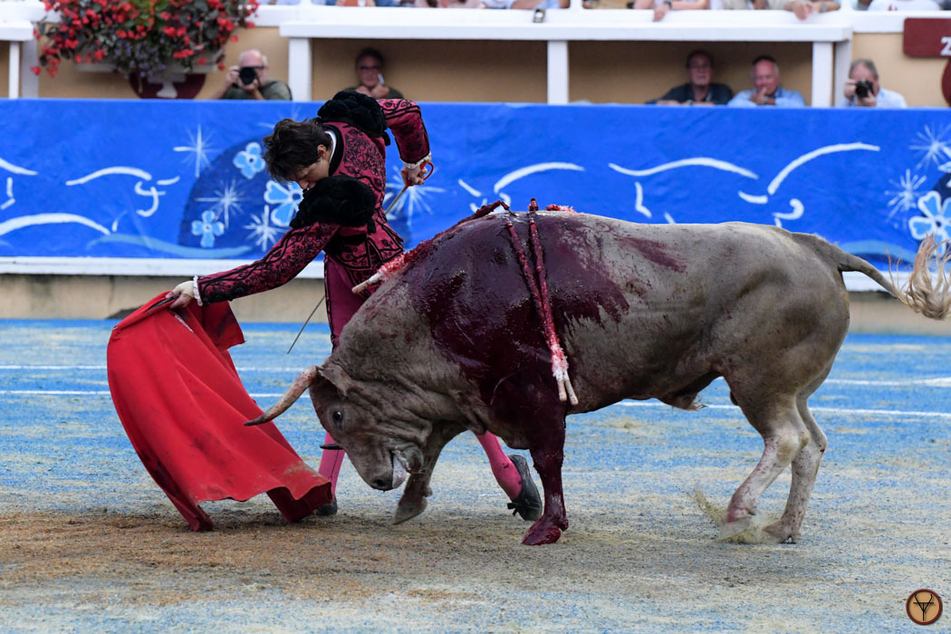04092026-Bayonne-Zacarias-Roca-Rey-Perez-Pedro-Luis-DSC_9717
