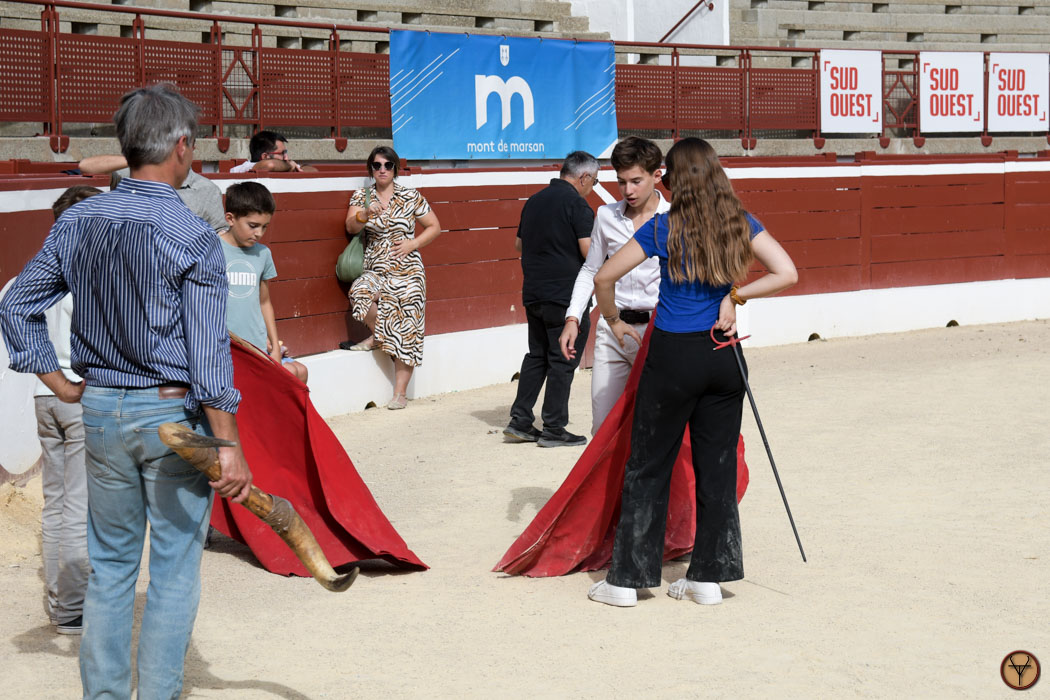 26092026-Mont de Marsan- Passiflores-Pluamaçon-Lucq-DSC_1291